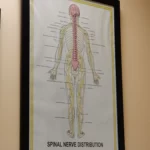 Photos 7 of Charlotte Chiropractic Center - Charlotte - NC